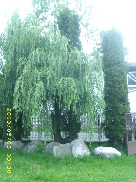 Pensiunea Belvedere Bran  Chambre photo